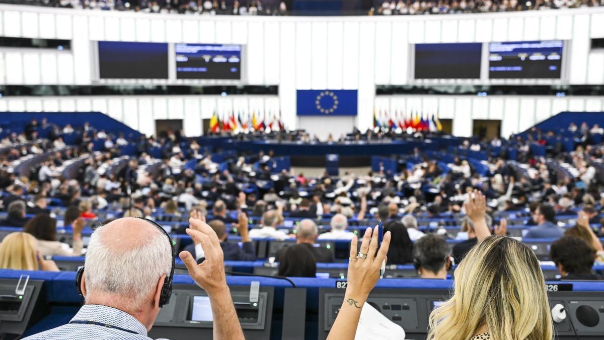 parlamentul european