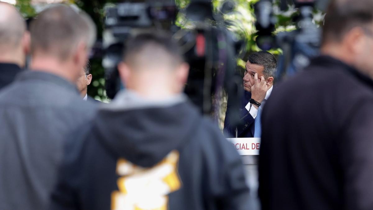 sorin grindeanu (2)