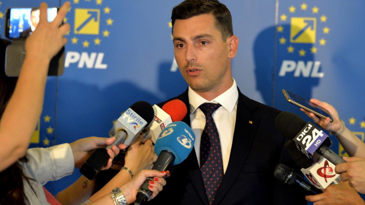 ionel bogdan pnl
