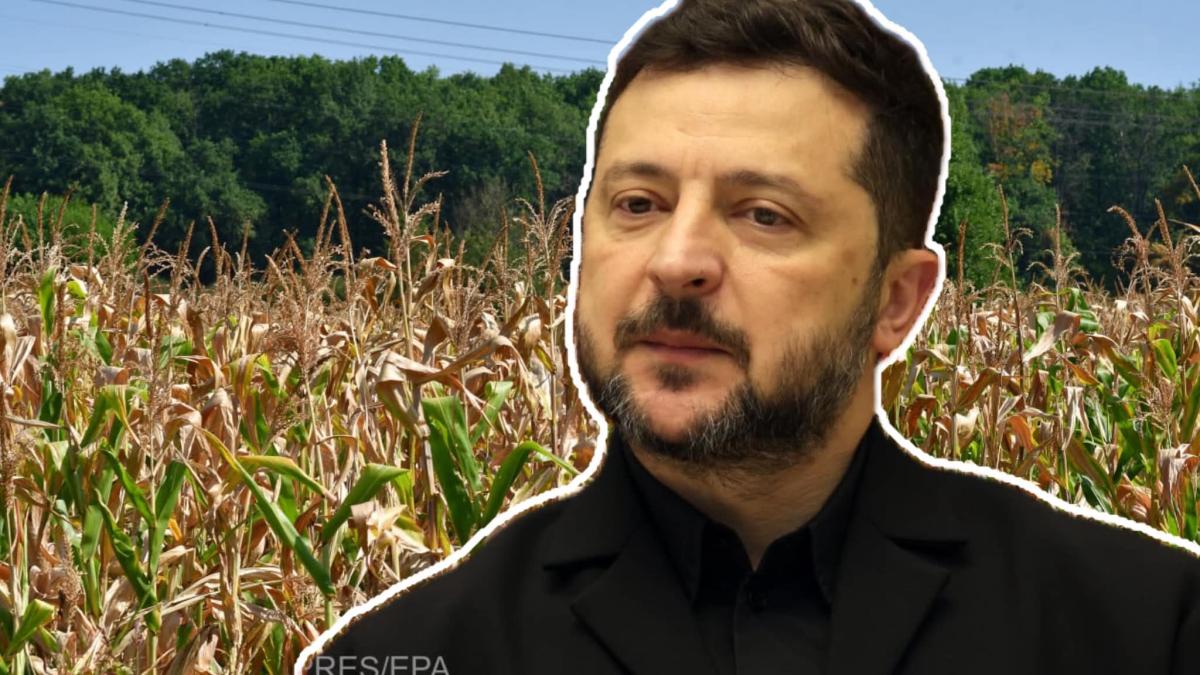 volodimir zelenski ucraina cereale