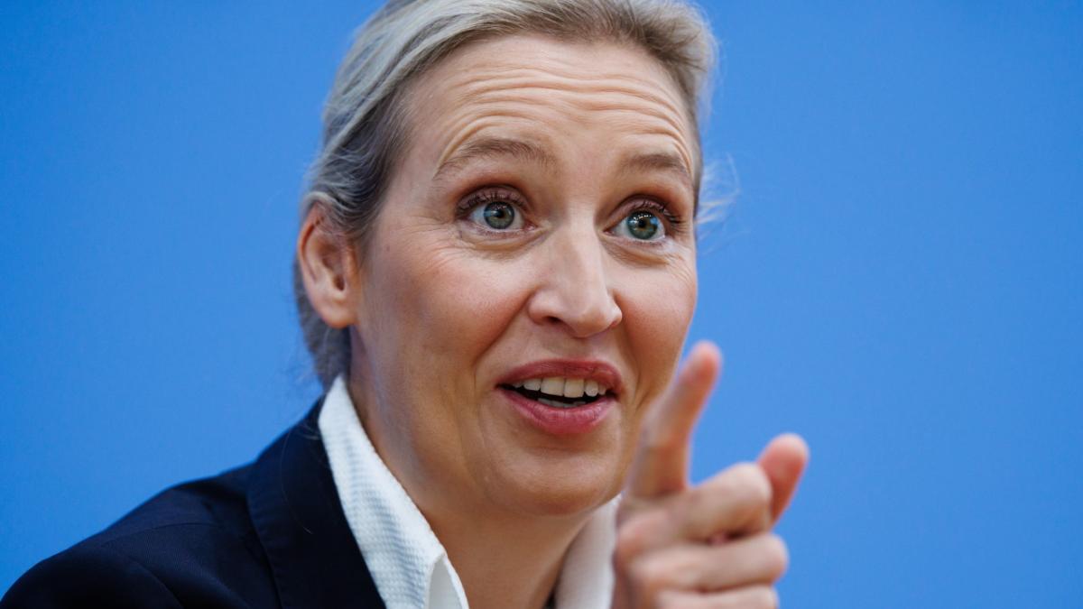 alice weidel afd