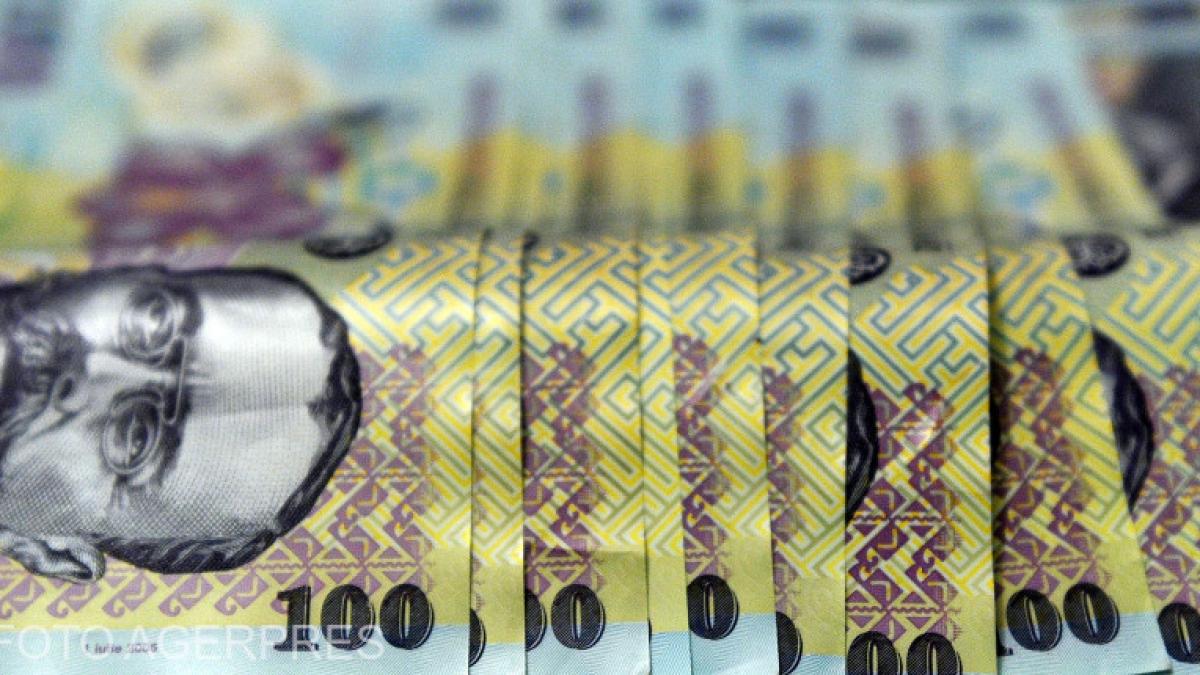 bani lei bancnote portofel leu ron cheltuieli facturi investitii (3)