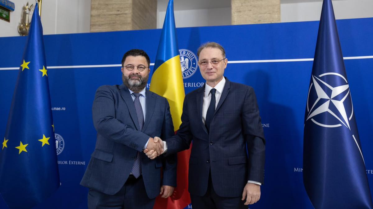 luca niculescu dan neculaescu