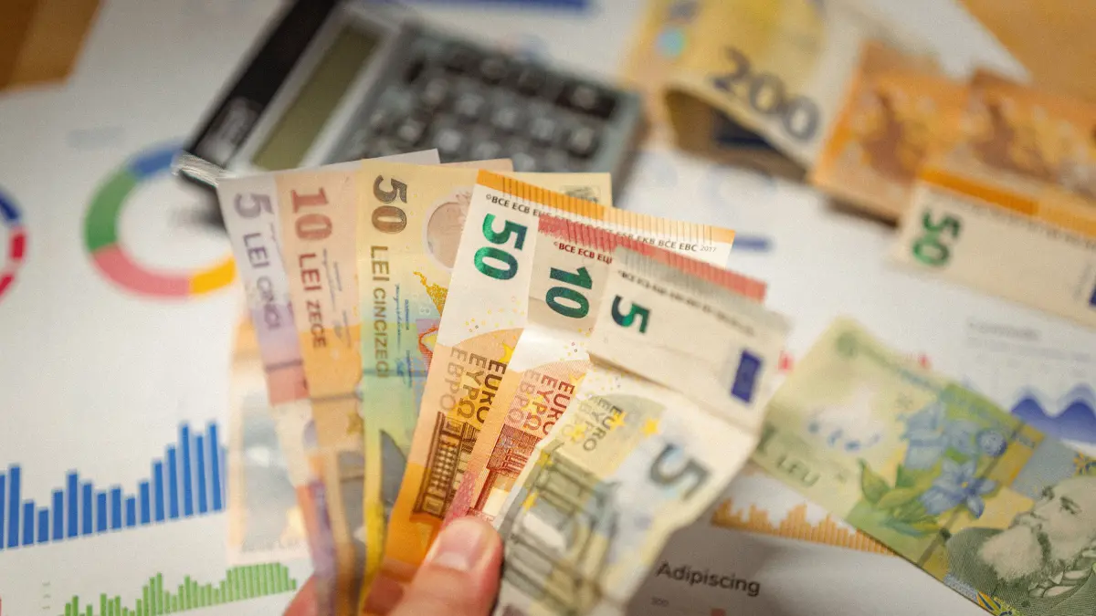euro leu