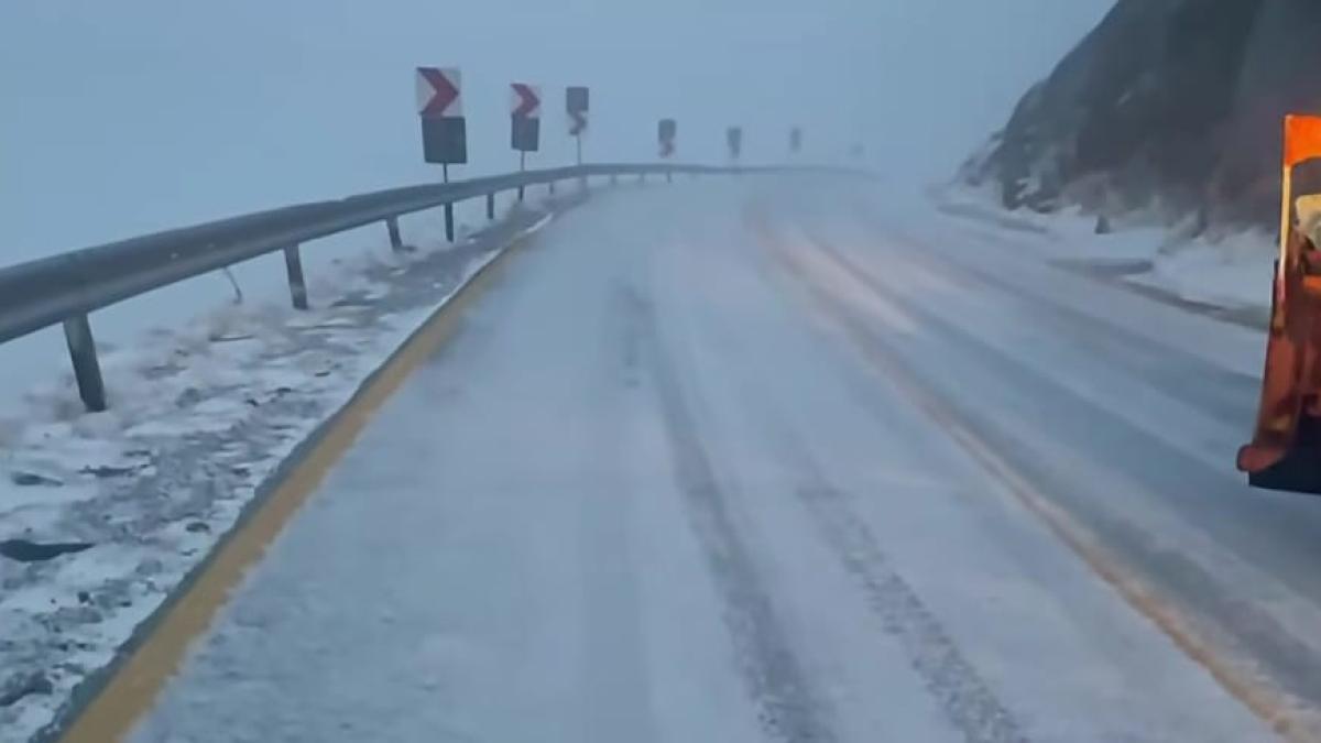 ninsoare transalpina