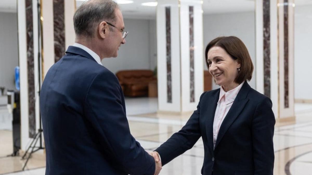 Luca Niculescu si Maia Sandu