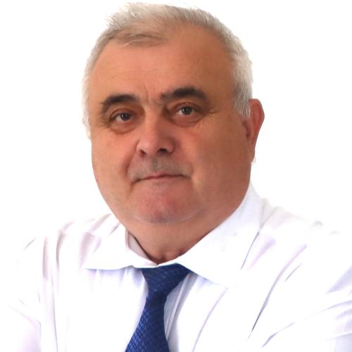 Crişan Andreescu