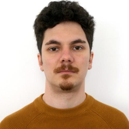 Vlad Roibu