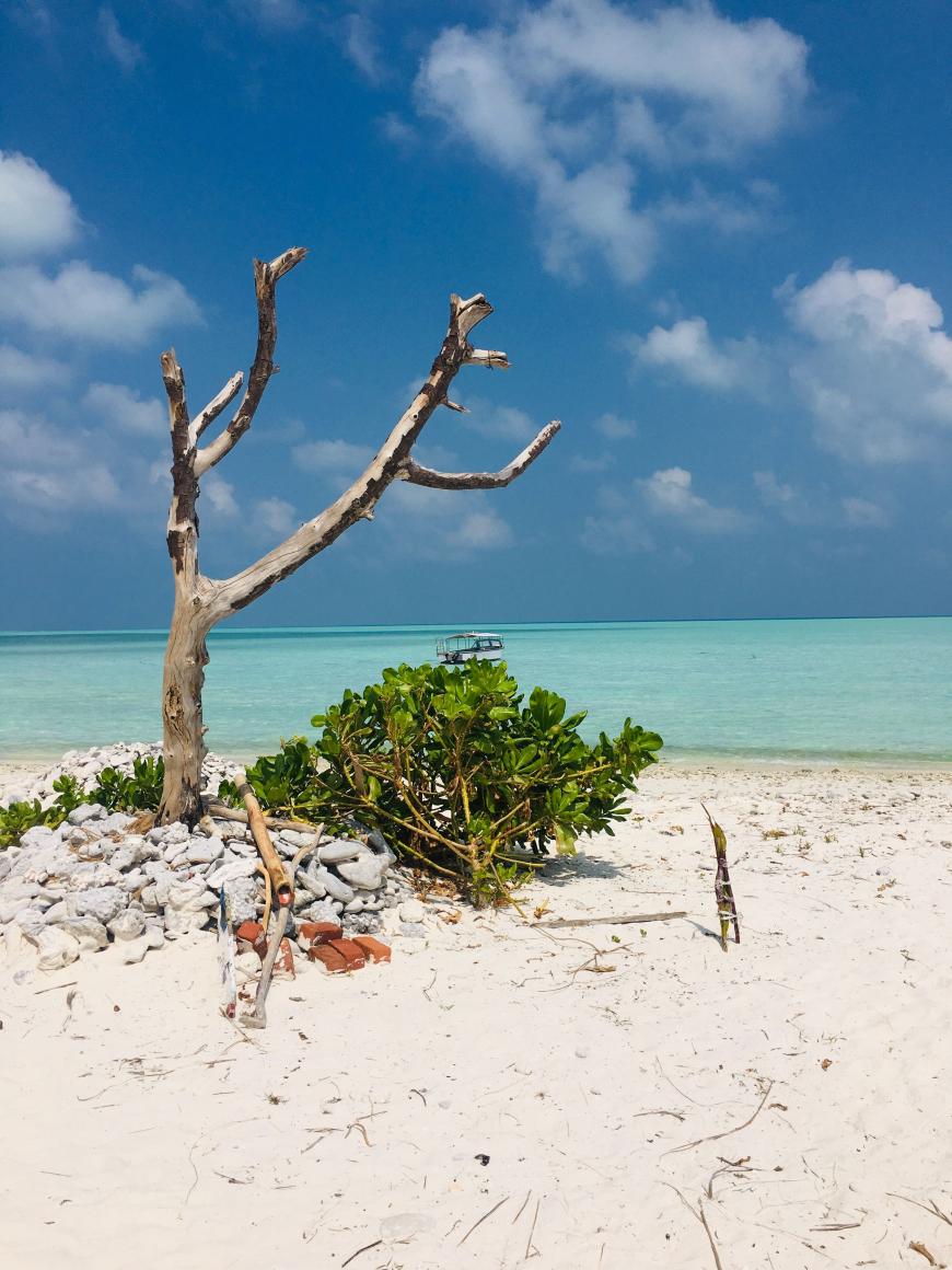 Minicoy Island, India. Sursa foto: Pexels