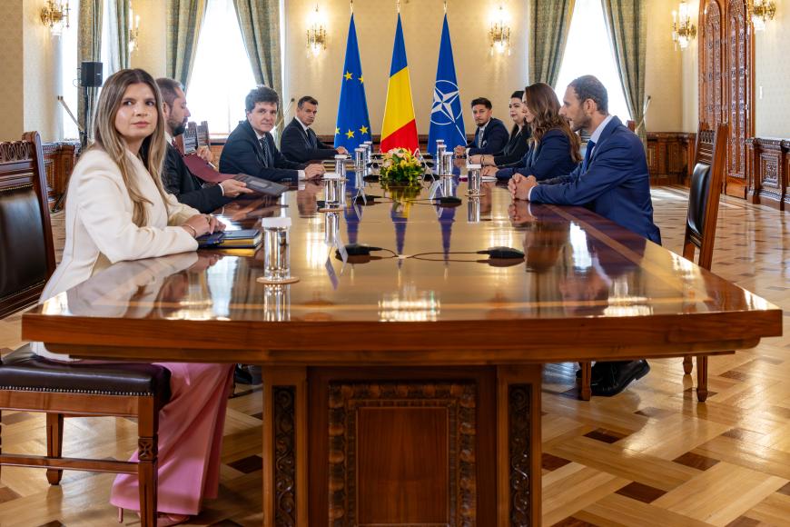Cine este „doamna în roz” de la Palatul Cotroceni. A atras atenţia la consultările cu partidele