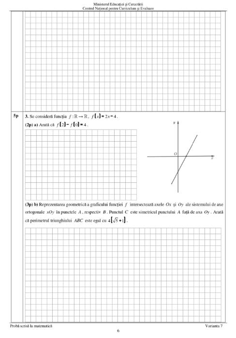 subiecte matematica 2025