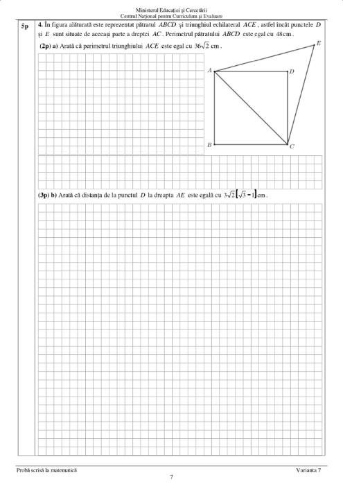 subiecte matematica 2025