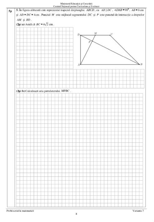 subiecte matematica 2025