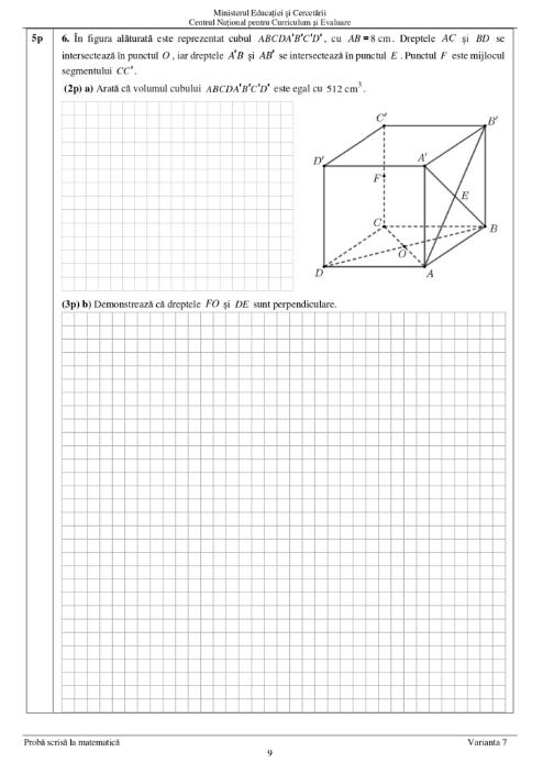 subiecte matematica 2025