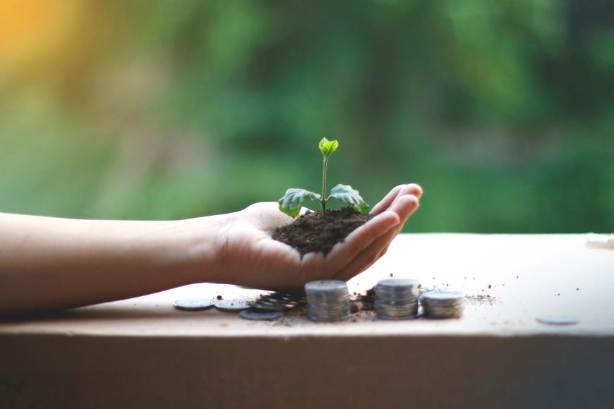 Cum poate „crowdfunding-ul” să sprijine afacerile românilor care se întorc acasă / FOTO: Pexels