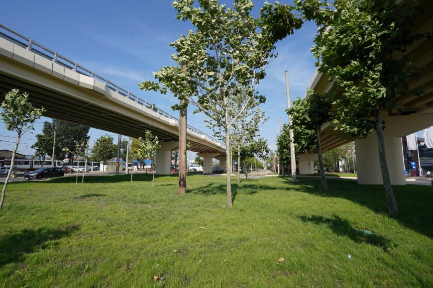 Cum se irigă spațiile verzi din Sectorul 3: O rețea de 130 de kilometri, construită în 14 ani, care folosește apă din lacuri, foraje și, în curând, din Dâmbovița