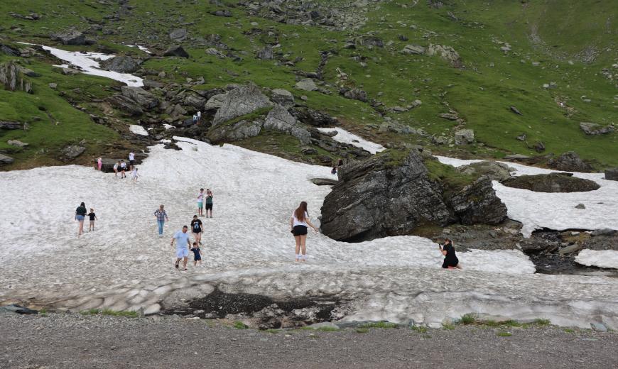 Imaginile zilei vin de pe Transfăgărășan. Urșii cerșetori, la marginea drumului 
