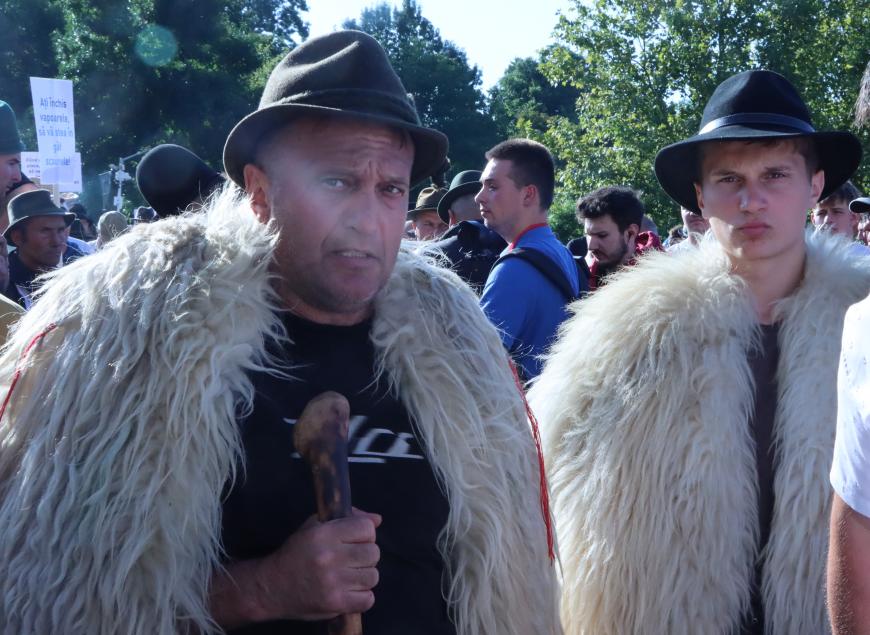 Protestul oierilor, joi,  în fața ANSVSA și a Guvernului. Revendicările ciobanilor