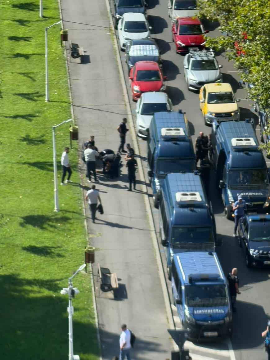 Tensiuni la protestul oierilor. Fermierii au încercat să rupă gardurile. Jandarmii au folosit gaze lacrimogene - FOTO/VIDEO