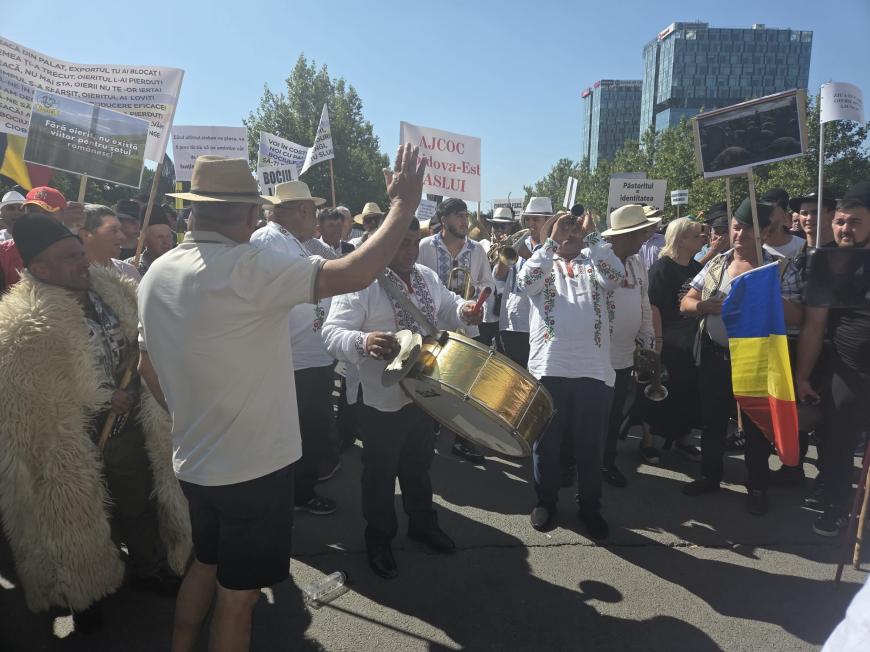 Tensiuni la protestul oierilor. Fermierii au încercat să rupă gardurile. Jandarmii au folosit gaze lacrimogene - FOTO/VIDEO