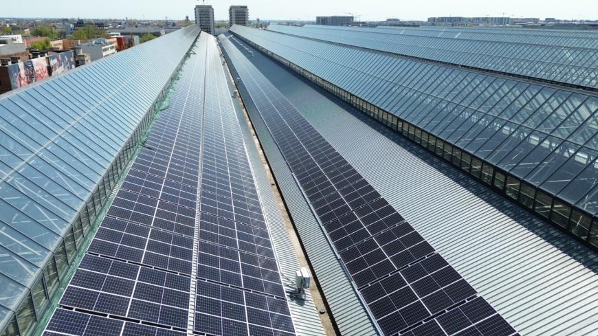 Energie verde în Sectorul 3: de la panourile fotovoltaice de pe școli și blocuri la parcul fotovoltaic de pe Hala Laminor