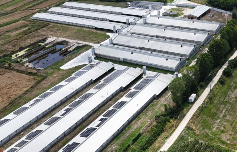  Grupul Carmistin își reduce dependența de energia din rețea prin investiții în capacități proprii de producere a energiei verzi
