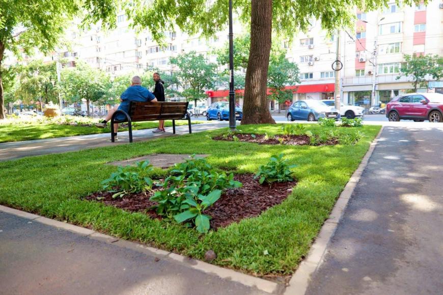 foto Rareș Hopincă/ Facebook/ Spații verzi amenajate