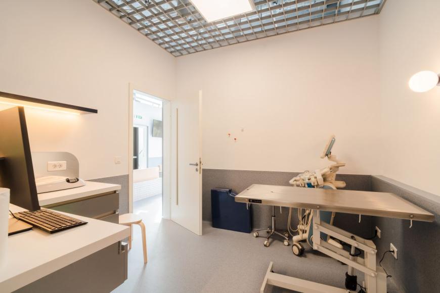 Nou la Iulius Town Timișoara. S-a deschis Spitalul Veterinar Transilvania