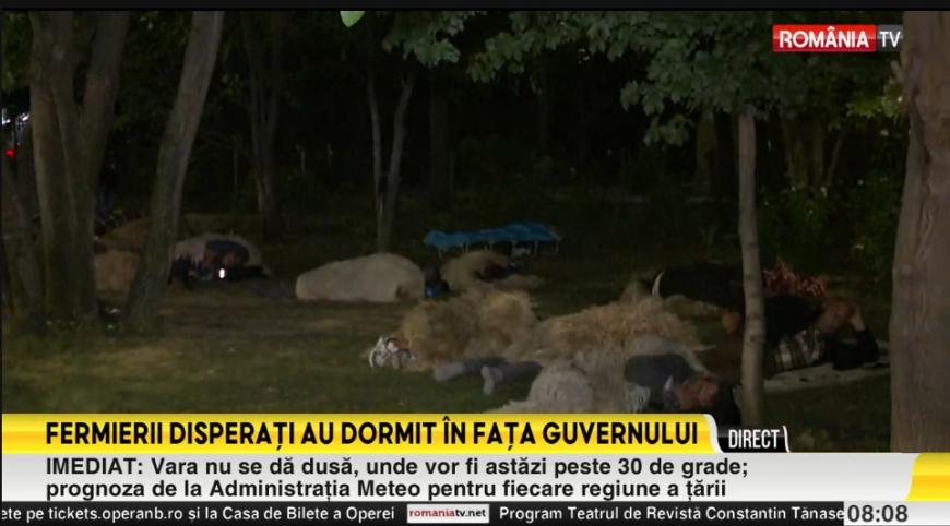 Fermierii, a doua zi în Piaţa Victoriei. Unii au dormit pe trotuare 