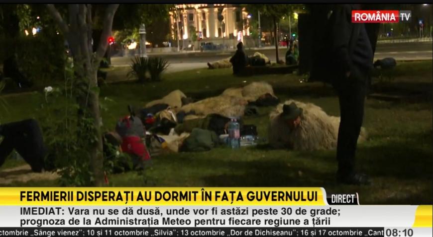 Fermierii, a doua zi în Piaţa Victoriei. Unii au dormit pe trotuare şi în parc