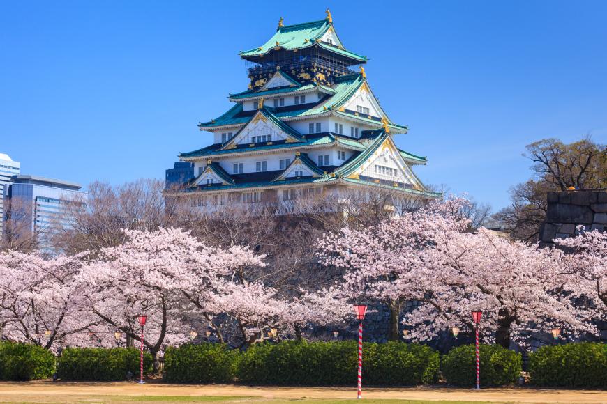 Castelul Osaka în sezonul florilor de cireș, Osaka, Japonia Exact Tours