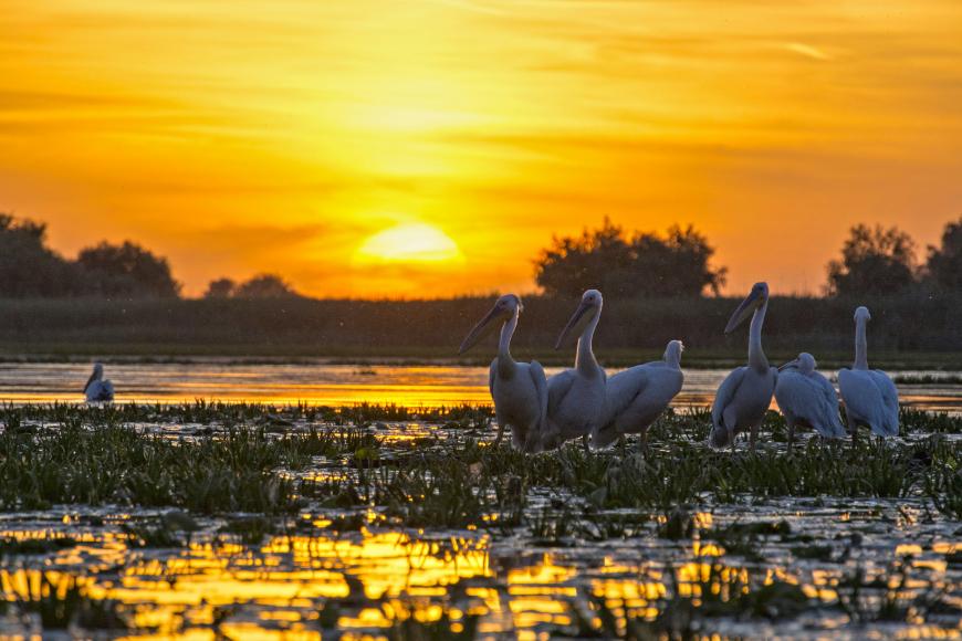 Foto: Unsplash