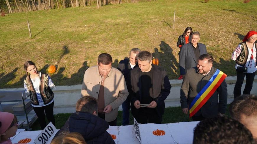 Corneliu Ștefan, 