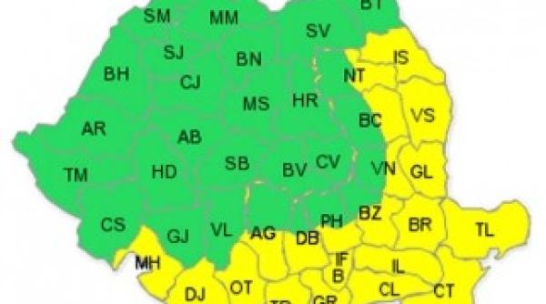 cod galben de canicula 2