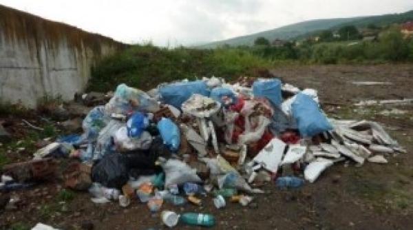 detinuti voluntari la campania de ecologizare lets do it romania