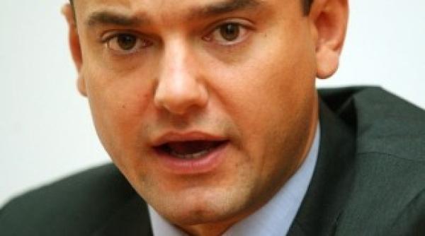 boureanu boc mandatat de pdl sa discute la cotroceni despre sefia mai