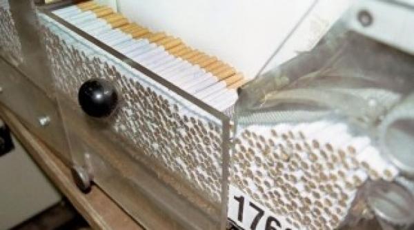 fabrici ilegale de tigarete in teleorman si vaslui