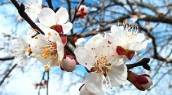 vremea in europa asa cum o stim noi e istorie