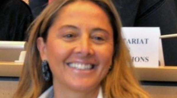 frauda in parlamentul european dupa exemplu romanesc erminia mazzoni varianta europeana a robertei anastase