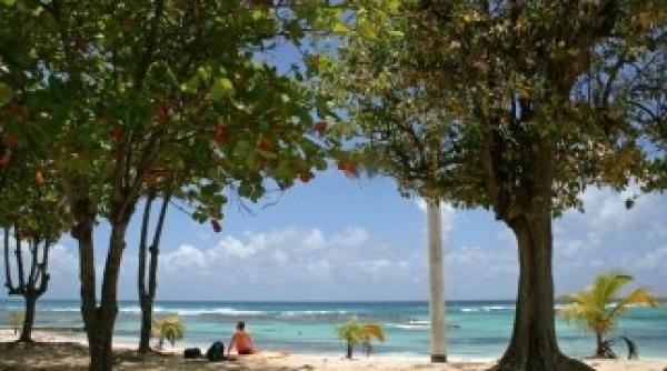 de revelion radu mazare merge in caraibe galerie foto