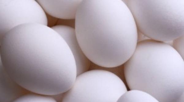 acum poti detecta dioxina dintr un ou cu un smartphone