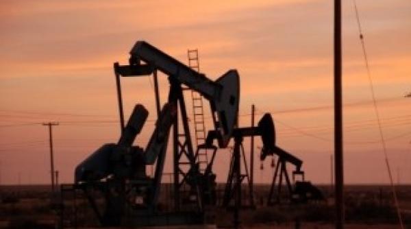 arabia saudita pretul petrolului va stagna in acest an