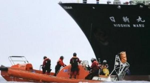 japonia isi suspenda vanatoarea de balene nava nisshin maru hartuita de sea shepherd