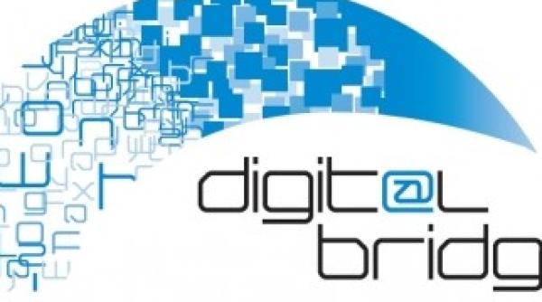 digital bridges nasterea societatii civile virtuale prin new media