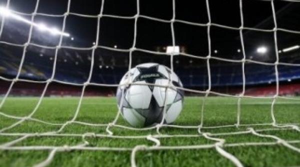 tottenham londra si schalke 04 s au calificat in sferturile ligii campionilor