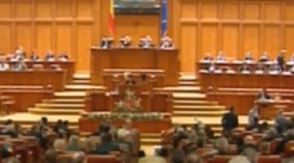 scandal in parlament pnl propune adoptarea unei declaratii politice impotriva mesajelor de la budapesta roberta anastase acuza incalcarea regulamentului