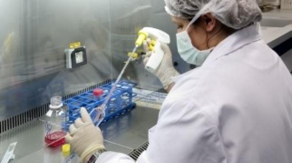 europenii se ofera sa i ajute pe japonezi cu stocare de celule stem care pot repara daunele cauzate de radiatii