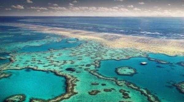 marea bariera de corali afectata sambata de un cutremur cu magnitudinea 52