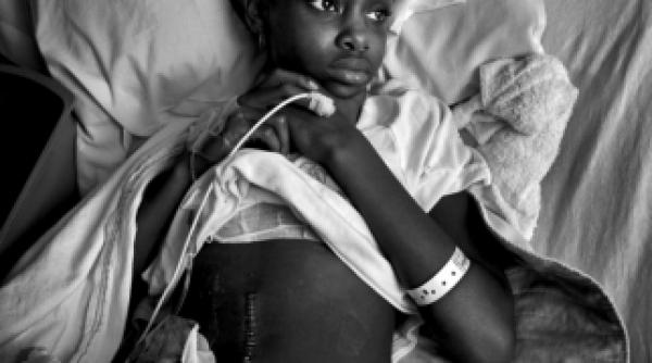 premiile pulitzer 2011 los angeles times si the new york times marii castigatori barbara davidson castiga premiul pentru cea mai buna fotografie