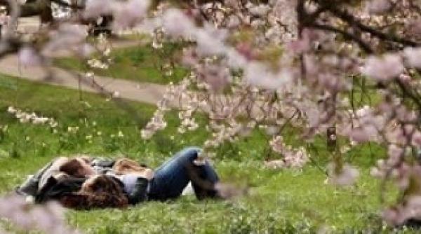 vreme calda in continuare